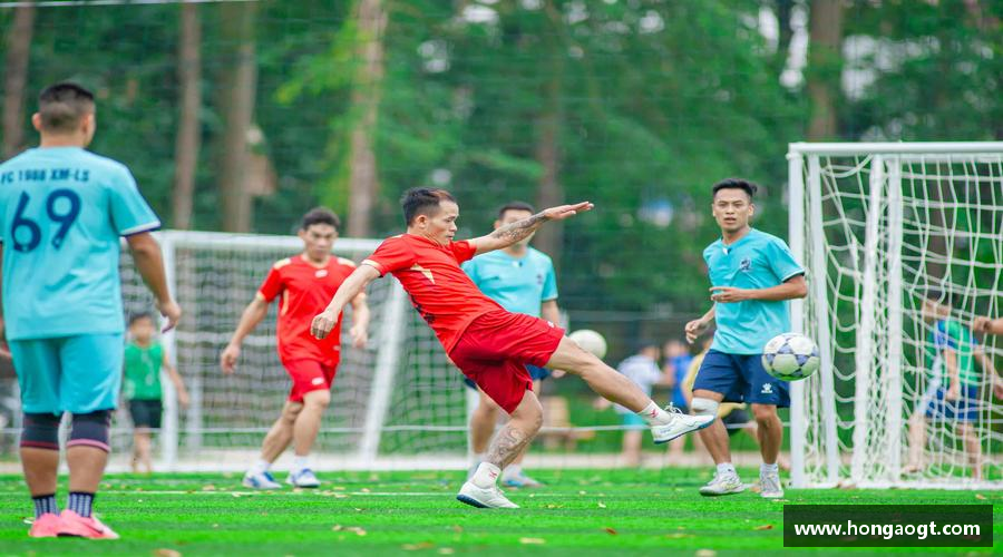 金年会金字招牌在线入口青春梦想，汇聚体育